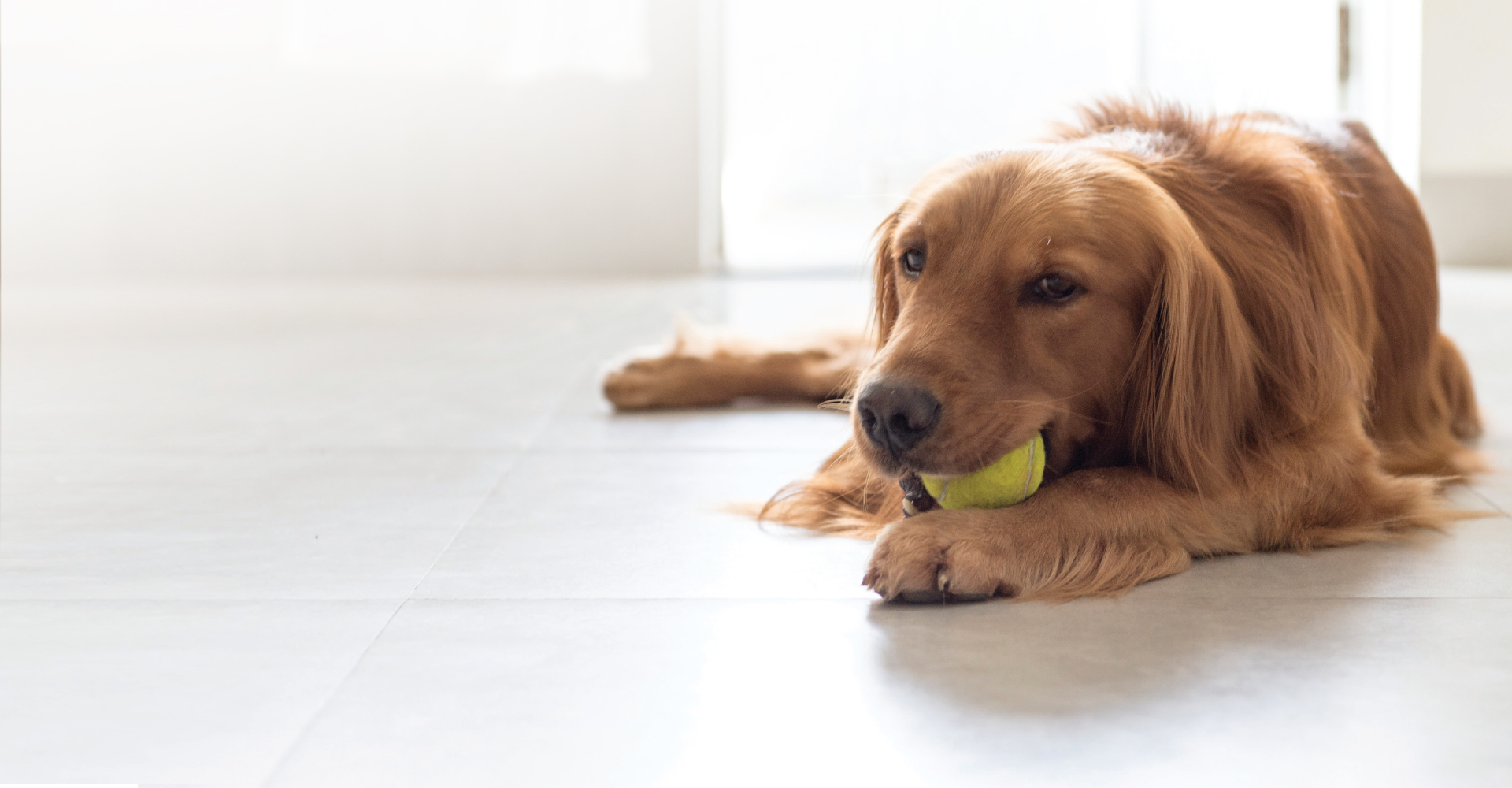 Flooring Store in Williston, VT Flooring America Vermont